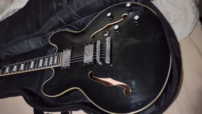 Guitarra Semi Acústica PHX zerada