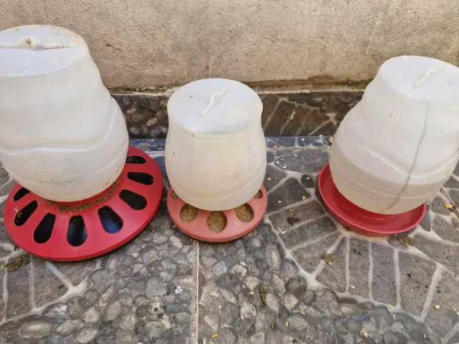 Bebedouro e comedor de galinha 