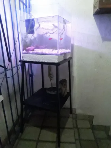Lindo Aquário com mesa