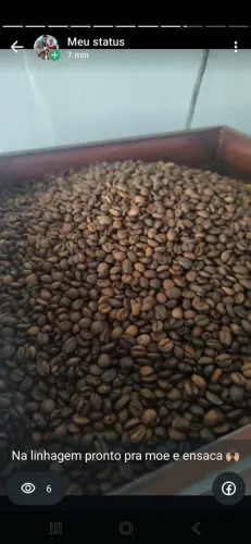 Café Gourmet MR Castelo 500g - 100% Selecionado | Torra Média | Alta Qualidade