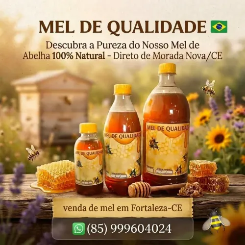 Mel puro de Morada Nova. Venda em Fortaleza-CE
