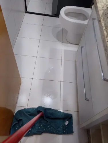 Diáriarista de limpeza
