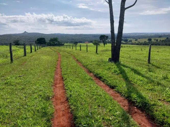 Rural - Caiapônia - GO