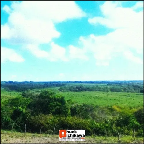 Fazenda de 250 tarefas - Cumbe