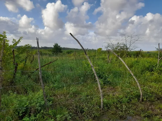Vendo ou troco em algo do meu interesse este terreno bairro Santa Cecília