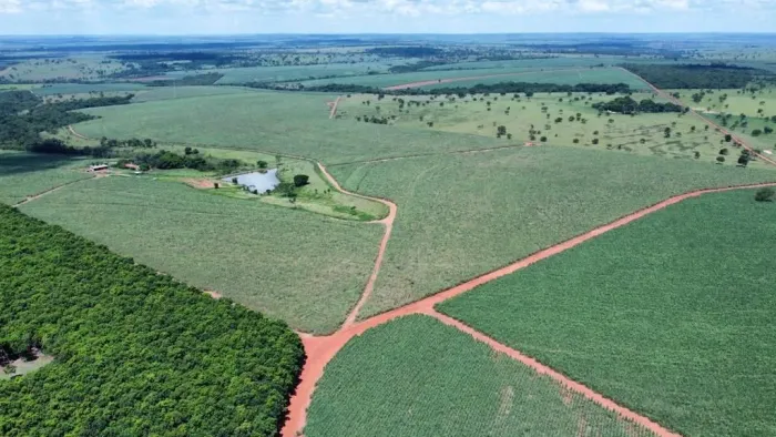 Fazenda em Itapagipe Minas Gerais