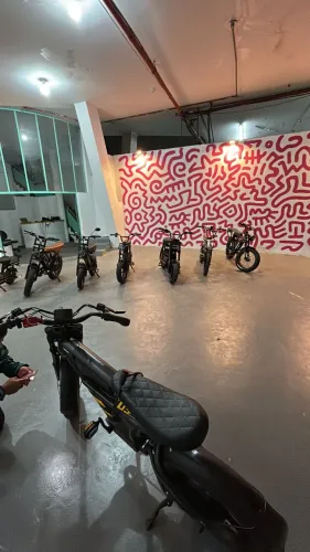 Bicicleta Elétrica FT03