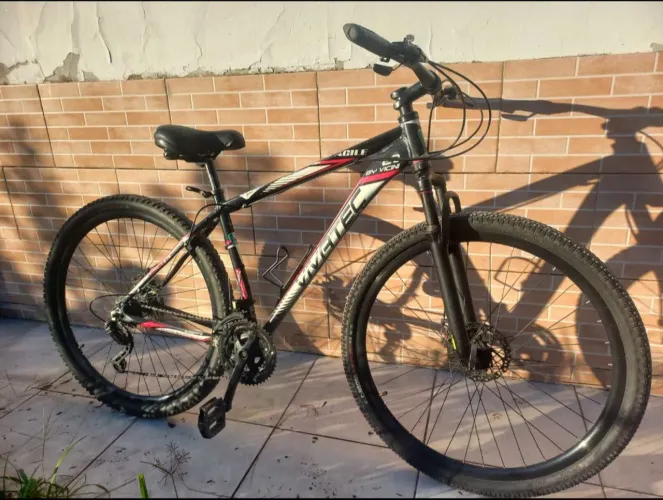 Bicicleta Vivatec, aro 29