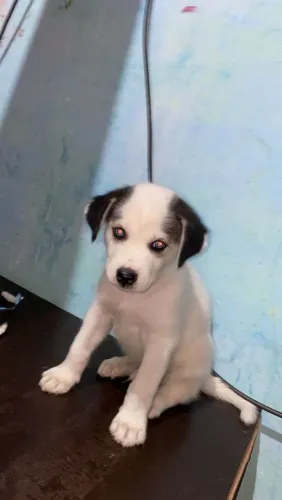 300 pra colocar preço, pra vender logo