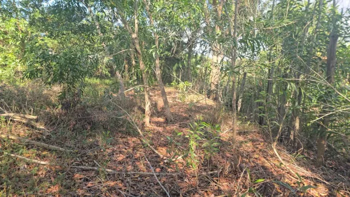 Lote Guarapari de esquina, escriturado, parcelo, troco, aceito propostas, veículos, casa 