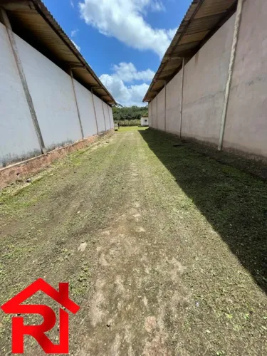 GALPAO COMERCIAL em SÃO LUÍS - MA, DISTRITO INDUSTRIAL
