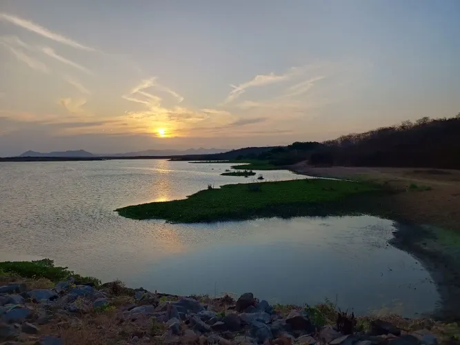 Vende-se terreno de meio hectare.