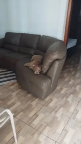 Vendo sofá