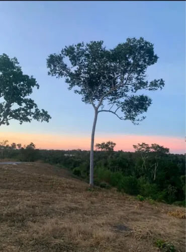 Lote quinta dos Palmares parte alta vista linda pôr do sol maravilha !