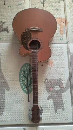 Violão Gianini cordas em aço