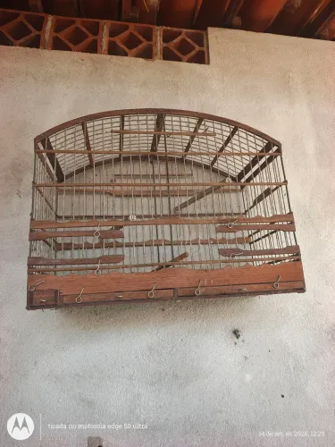 Gaiolas e Viveiro