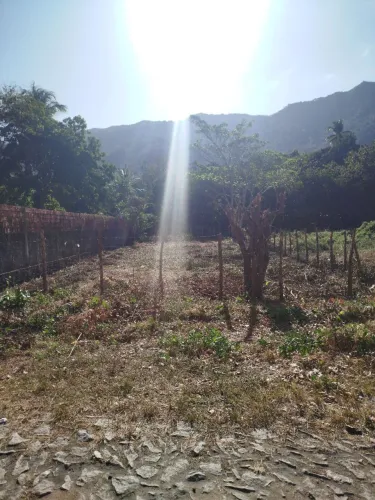 LOTE NA ÁREA CENTRAL DE PACATUBA