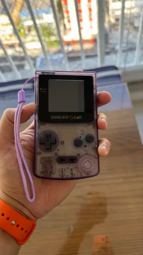 Game Boy Color Atomic Purple IPS + EverDrive GBC + BRINDE
