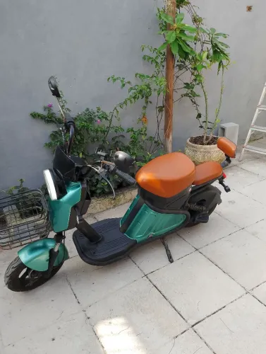 Scooter elétrica WD2 1000W