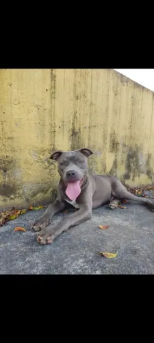 Doação