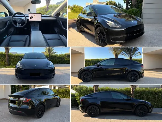 Tesla Model Y Performance 2021