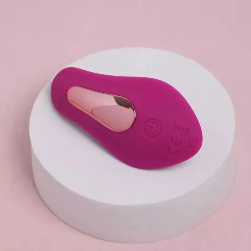 Massageador carregável feminino prova de água funcionamento a distância
