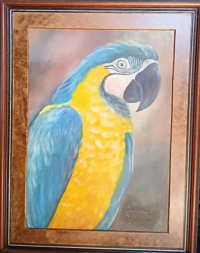 Quadro