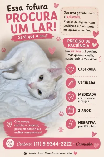 Lindos BBs para adoção 
