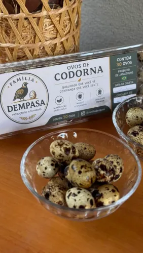 OVOS FÉRTEIS DE CODORNA JAPONICA