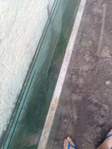 Vidros para porta de distribuidora