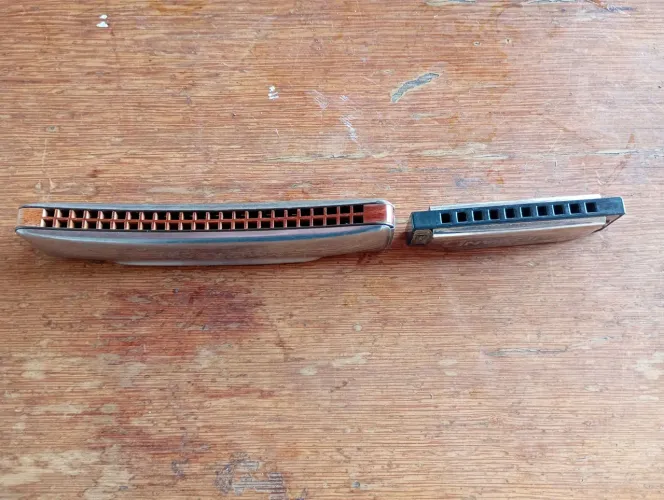 Duas gaitas , sonhadora da Hering e Bluesband da Hohner internacional
