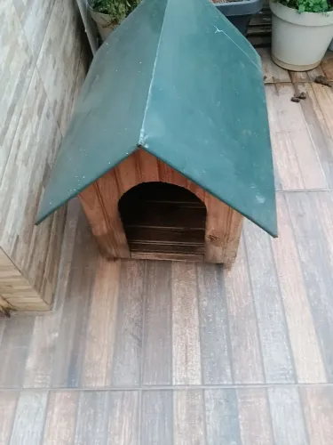 Casinha de cachorro