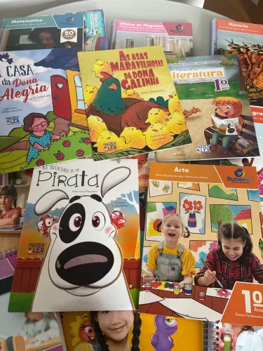 Livros editora sucesso fundamental 1º ano