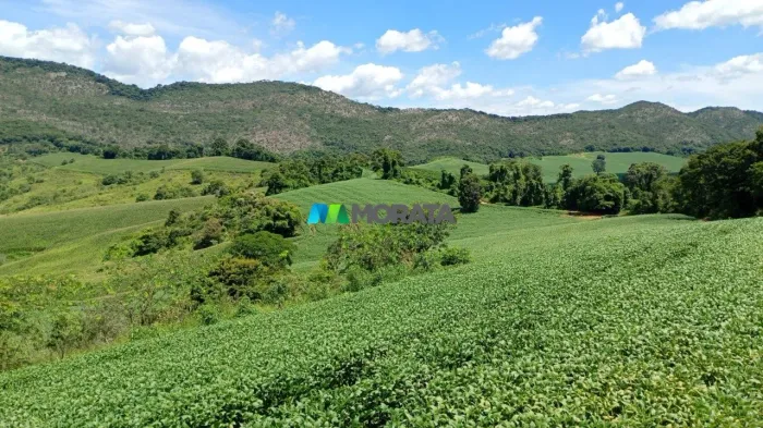 FAZENDA À VENDA - 96 HECTARES - TRÊS CORAÇÕES (MG)