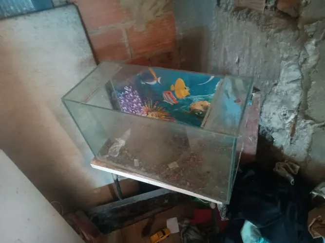 Venda de Aquário