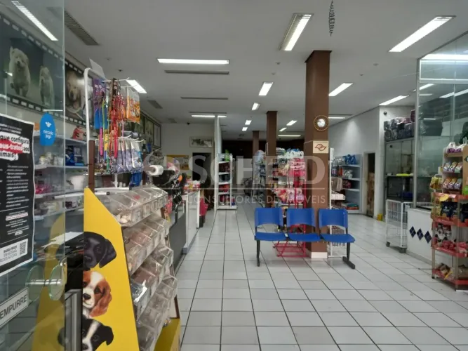 Casa comercial para locação, 2 salões, 5 banheiros, 5 vagas, Santo Amaro