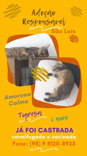 Doação