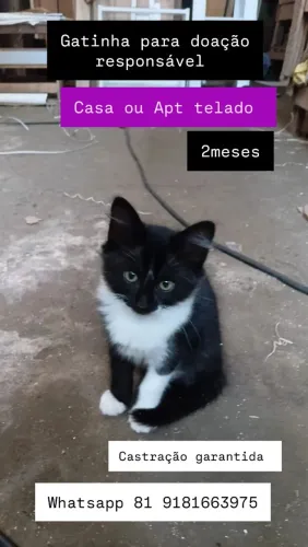 Gata