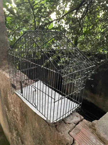 Gaiola para pássaros 