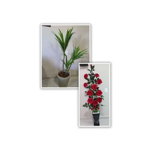 2 Plantas artificiais
