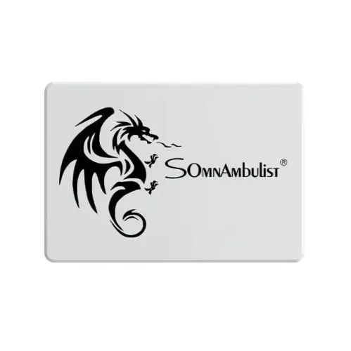 SSD sata 256gb Somnambulist (NOVO)