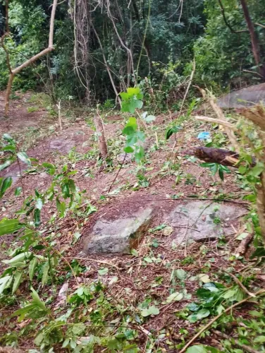 VENDA DE LOTES NO CORAÇÃO DA GENERAL GLICÉRIO - ALTO LARANJEIRAS