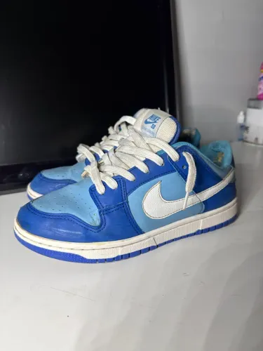 Tenis Dunk Low sb Nike