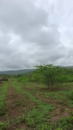 TERRENO DE 3.385m²