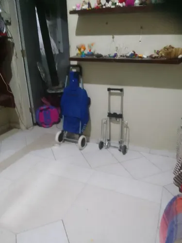 Carrinho retratil e de feira