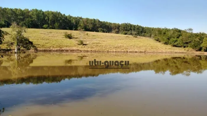 Sítio com 9 dormitórios à venda, 251300 m² por R$ 2.900.000,00 - Centro - Rafard/SP