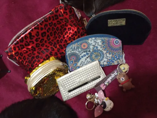 Estojo animal print ,porta moedas ,chaveiro:diversos -venda unitária 