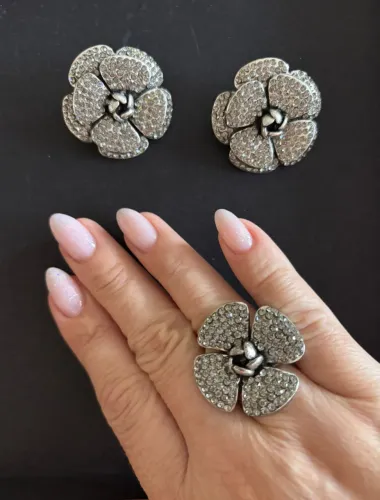 Conjunto Brinco e Anel cravejados