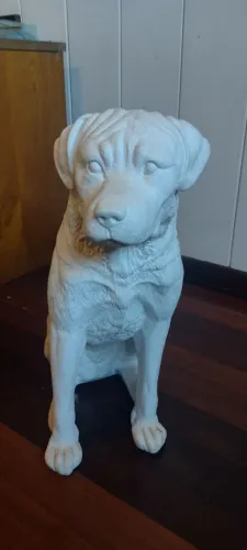 Estatua Cachorro tamanho real - gesso - rottweiler