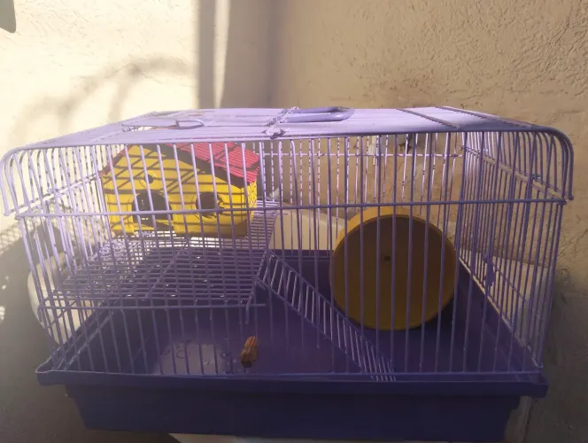 Gaiola completa para hamster